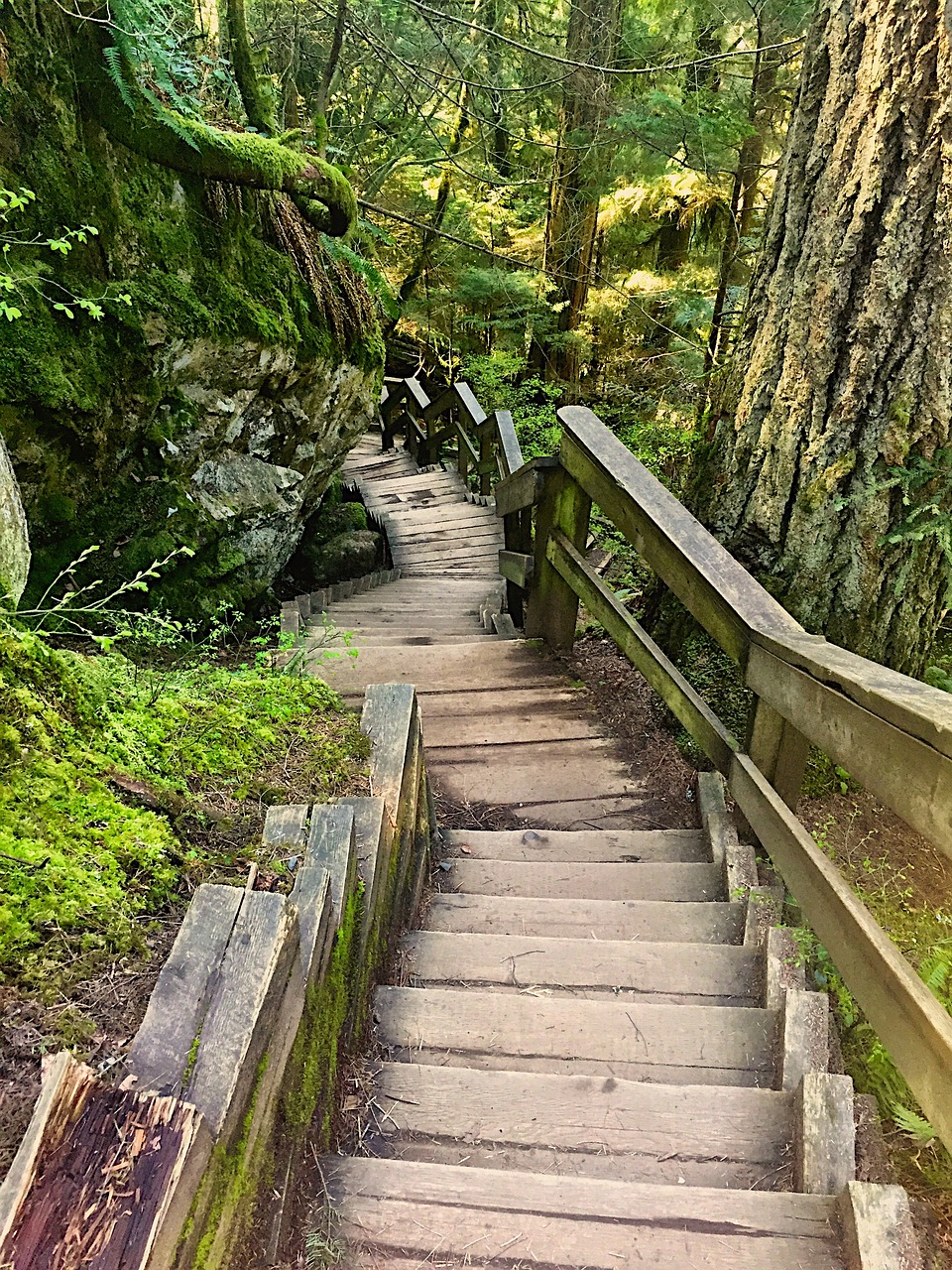 探秘福建瑰宝泰宁旅游景点全览，山水之间，遇见宁静的福建明珠