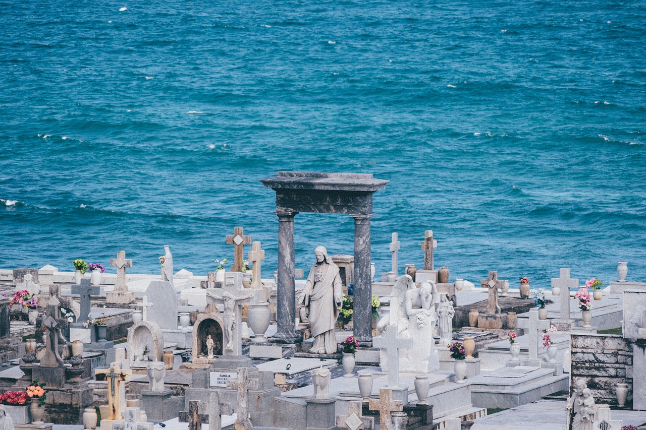 上海疫情追踪，生活的节奏与挑战