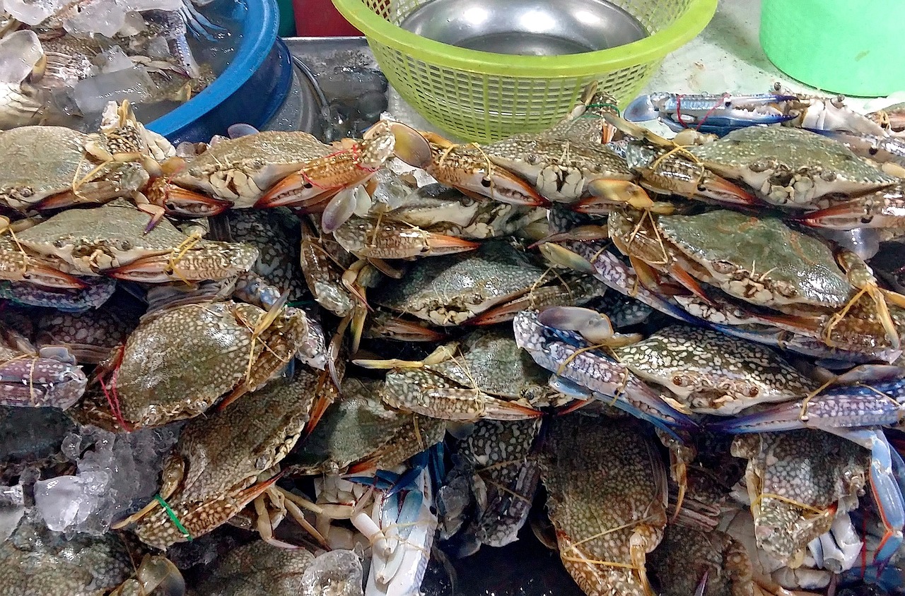 探索美食与旅游的完美融合，一场味蕾与风景的盛宴