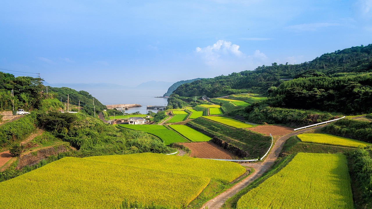 中国农村金融网，连接城乡，助力乡村振兴