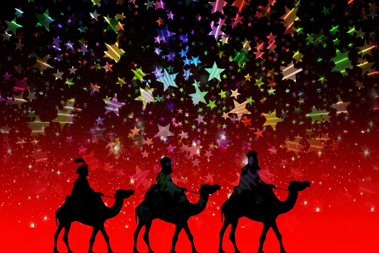 锦鲤精的娱乐圈奇遇，不追求爆红的另类明星