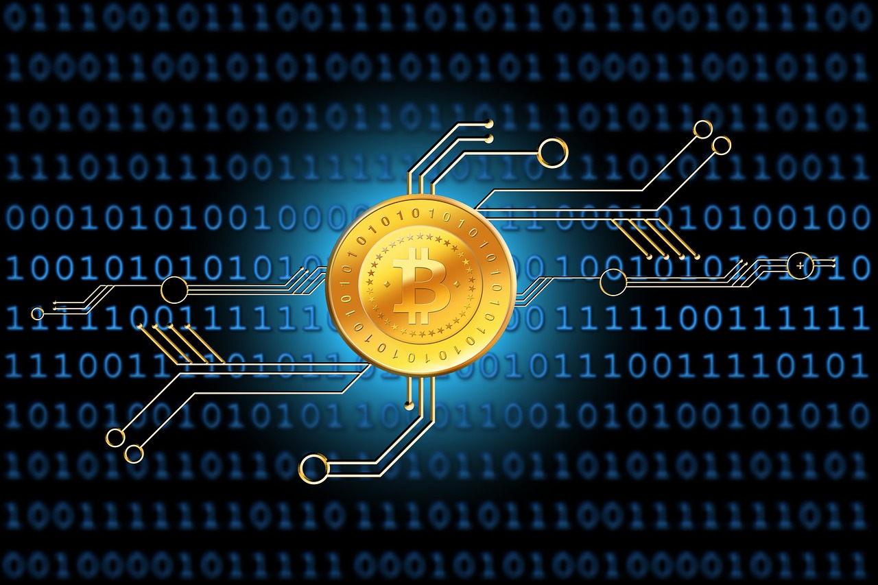 新闻速递，每日100条摘抄，掌握世界脉搏